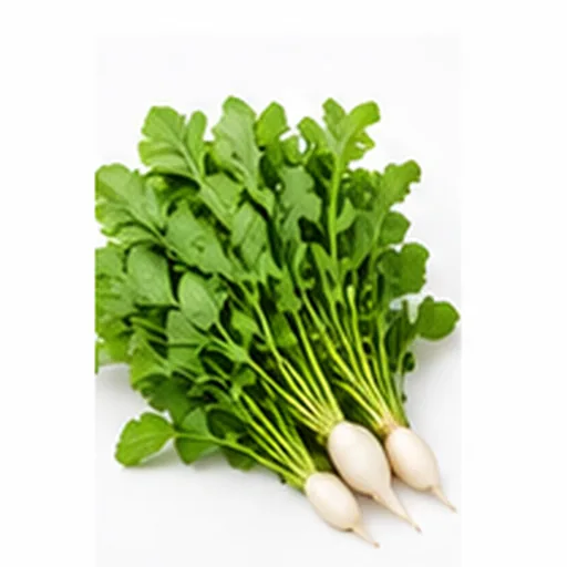 열무/열무 대표 이미지
